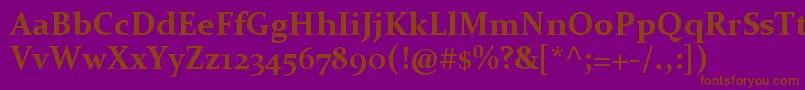 ConstantiaBold Font – Brown Fonts on Purple Background