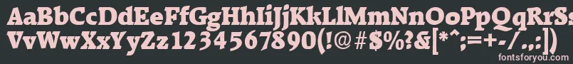 RaleighHeavy Font – Pink Fonts on Black Background