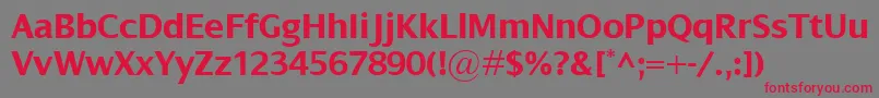 DialogBold Font – Red Fonts on Gray Background