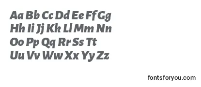 LunasansBlackitalic Font