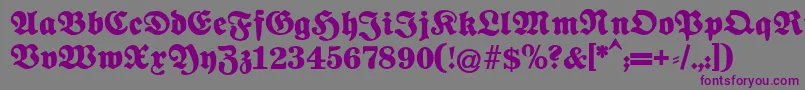 Fettenationalfraktur Font – Purple Fonts on Gray Background
