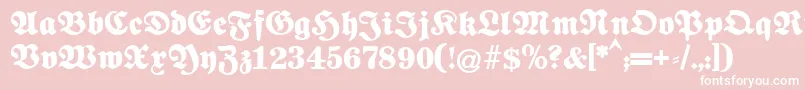 Fettenationalfraktur Font – White Fonts on Pink Background