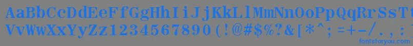 フォントRomanfixedwidthBold – 灰色の背景に青い文字