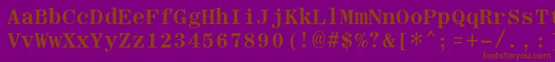 RomanfixedwidthBold Font – Brown Fonts on Purple Background