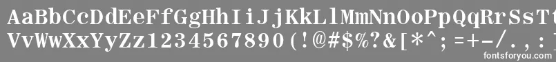 フォントRomanfixedwidthBold – 灰色の背景に白い文字