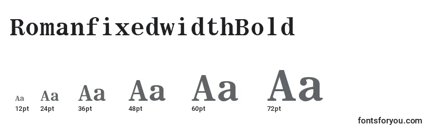 Размеры шрифта RomanfixedwidthBold