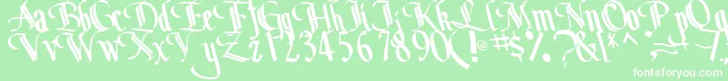 BottomRegularTtstd Font – White Fonts on Green Background