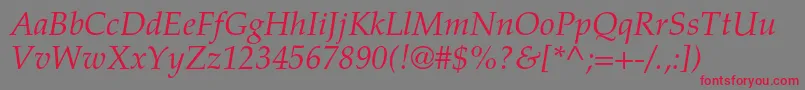 TexgyrepagellaItalic Font – Red Fonts on Gray Background