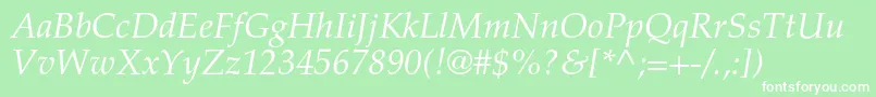 TexgyrepagellaItalic Font – White Fonts on Green Background