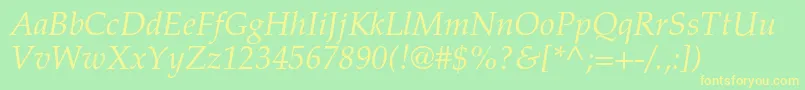TexgyrepagellaItalic Font – Yellow Fonts on Green Background