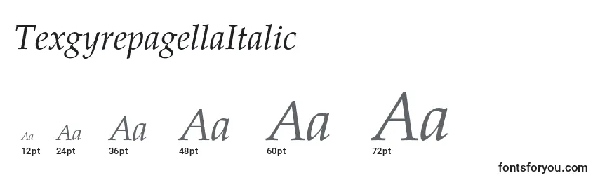 Размеры шрифта TexgyrepagellaItalic