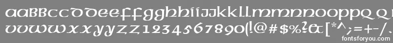 フォントAmerica1 – 灰色の背景に白い文字