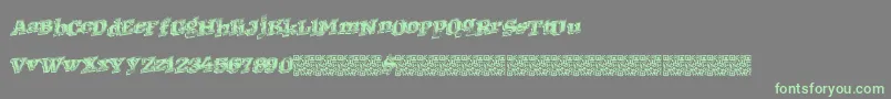 Шрифт Westernracing – зелёные шрифты на сером фоне