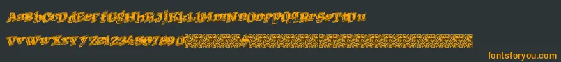 Westernracing Font – Orange Fonts on Black Background