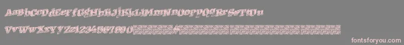 Westernracing Font – Pink Fonts on Gray Background