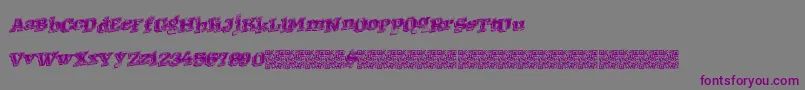 Czcionka Westernracing – fioletowe czcionki na szarym tle