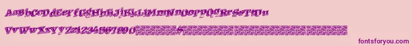 Westernracing Font – Purple Fonts on Pink Background