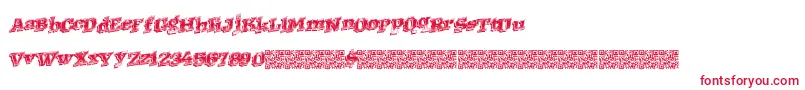 Westernracing Font – Red Fonts on White Background