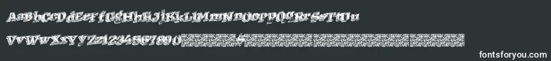 Westernracing Font – White Fonts