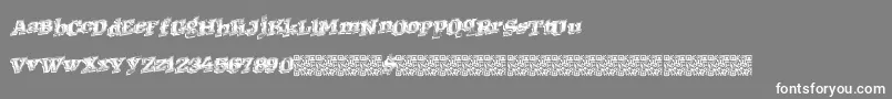 Westernracing Font – White Fonts on Gray Background