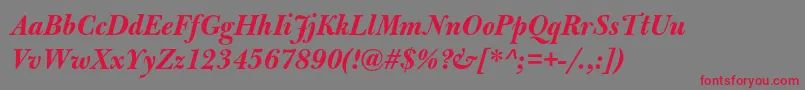 BulmermtstdBolditalicdisp Font – Red Fonts on Gray Background