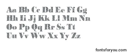 Обзор шрифта BodonibrokenglassRegular