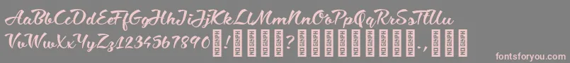 CiaobabyRegular Font – Pink Fonts on Gray Background