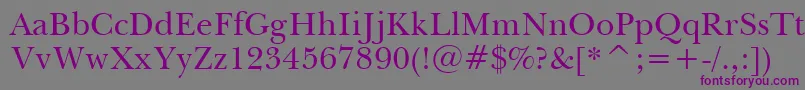 Tt0031c Font – Purple Fonts on Gray Background