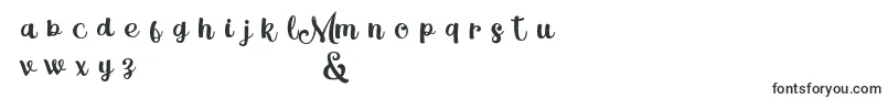 MagleScriptDemo Font – Fonts for Adobe Illustrator
