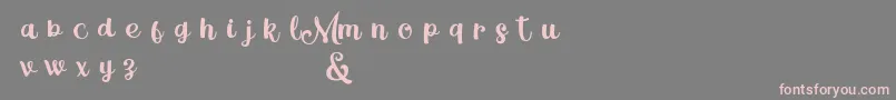 MagleScriptDemo Font – Pink Fonts on Gray Background