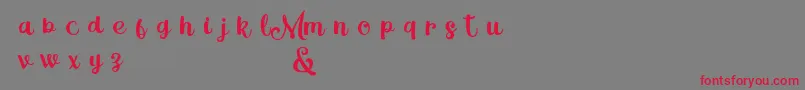 MagleScriptDemo Font – Red Fonts on Gray Background