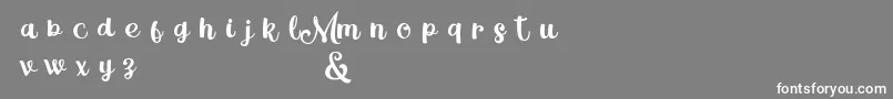 フォントMagleScriptDemo – 灰色の背景に白い文字