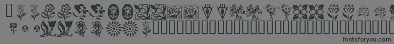 KrKatsFlowers Font – Black Fonts on Gray Background
