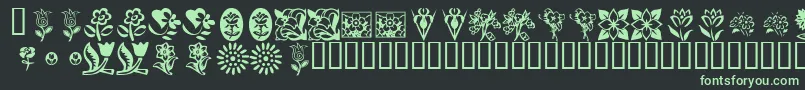 KrKatsFlowers Font – Green Fonts on Black Background