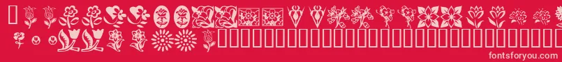 KrKatsFlowers Font – Pink Fonts on Red Background