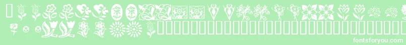 KrKatsFlowers Font – White Fonts on Green Background