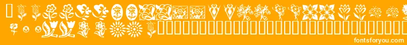 KrKatsFlowers Font – White Fonts on Orange Background