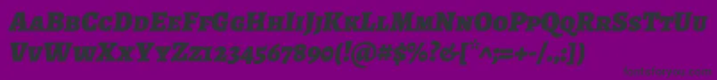 AlegreyascBlackitalic Font – Black Fonts on Purple Background
