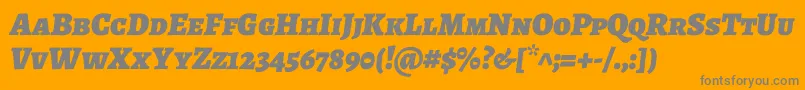 AlegreyascBlackitalic Font – Gray Fonts on Orange Background