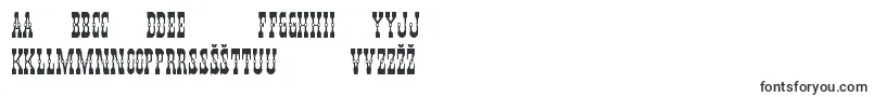 Youngerbrosdropcapsフォントについての詳細 フォントYoungerbrosdropcaps – リトアニアのフォント