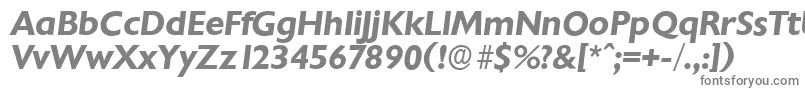 ChantillyserialBolditalic-fontti – harmaat kirjasimet valkoisella taustalla