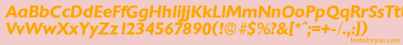 ChantillyserialBolditalic Font – Orange Fonts on Pink Background