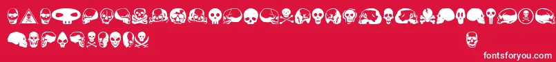 Skullbeaaoe Font – White Fonts on Red Background