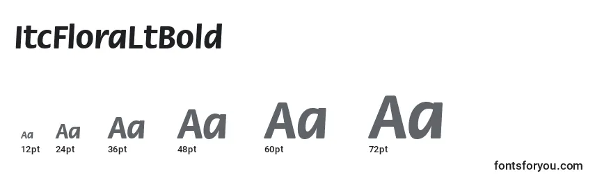 ItcFloraLtBold Font Sizes