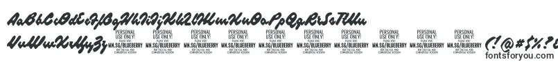 BlueberryscriptPersonalUse Font – Fonts for Adobe Indesign