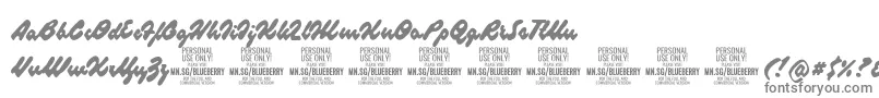 BlueberryscriptPersonalUse Font – Gray Fonts