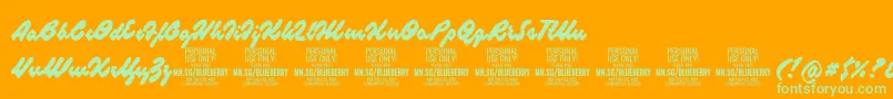 BlueberryscriptPersonalUse Font – Green Fonts on Orange Background