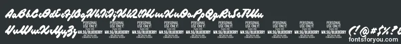 Шрифт BlueberryscriptPersonalUse – белые шрифты на чёрном фоне