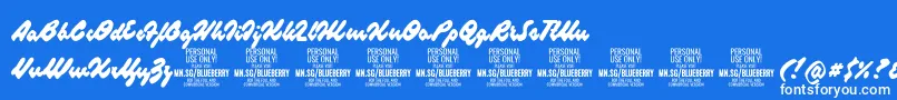 フォントBlueberryscriptPersonalUse – 青い背景に白い文字