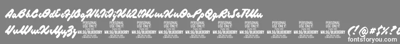 BlueberryscriptPersonalUse-Schriftart – Weiße Schriften auf grauem Hintergrund